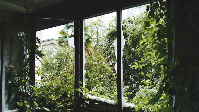 How to File a Storm Damage Insurance Claim in Houston: A Step-by-Step Guide 3 houston storm damage lawyer